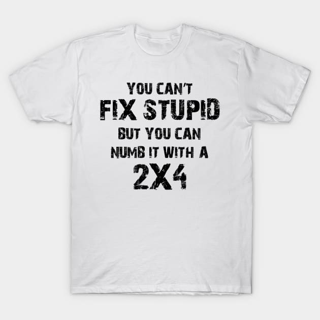 You Can't Fix Stupid But You Can Numb It With A 2X4 T-Shirt by Ray E Scruggs